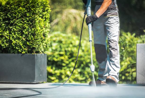 Best Warehouse Cleaning  in Dickson City, PA